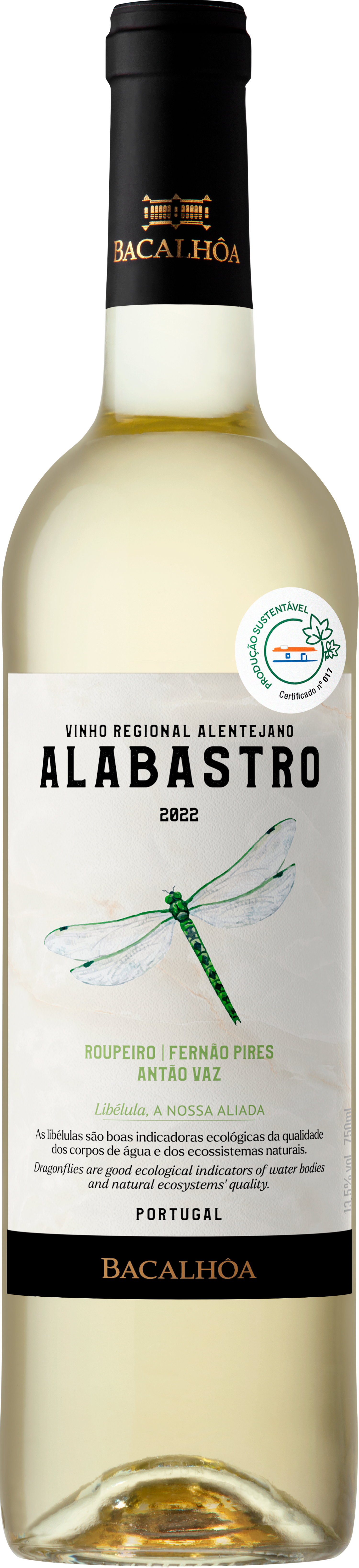Albâtre Blanc 2024