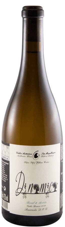 Filipa Pato Dinâmica Branco 2024