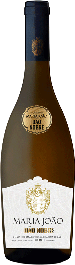 Maria Joao Nobre Branco 2018