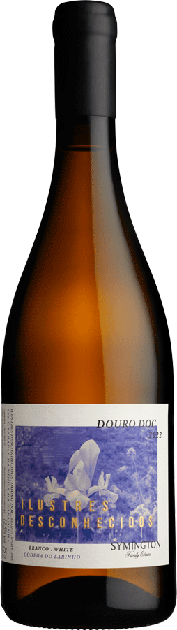 Ilustres Desconhecidos Codega Larinho Branco 2022