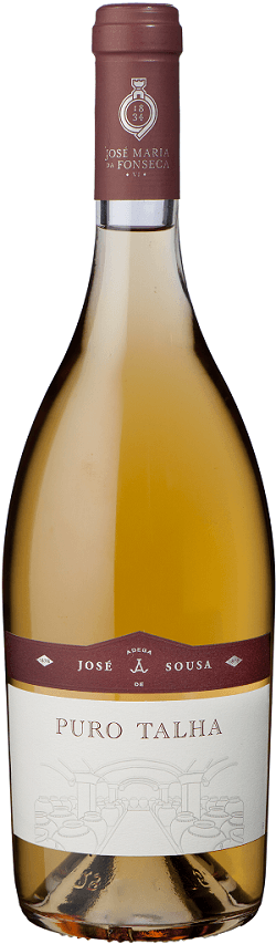 José De Sousa Puro Talha Branco 2015