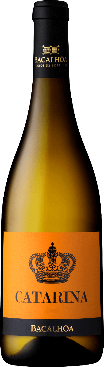 Catarina Branco 2023