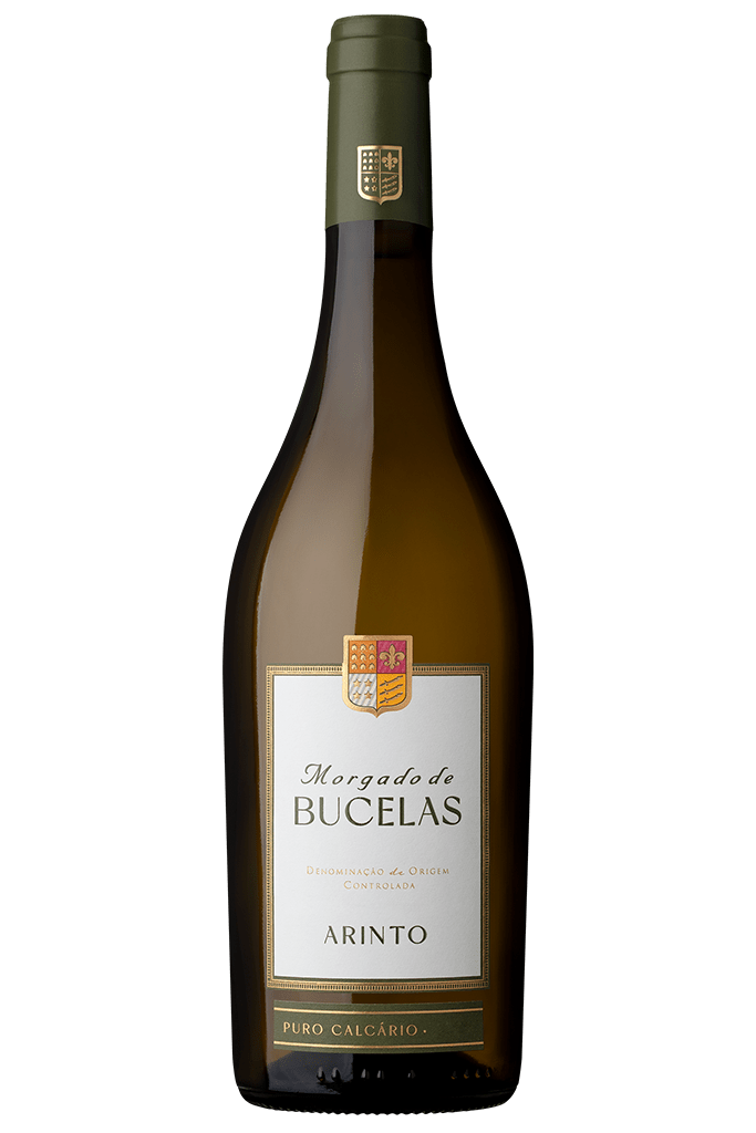 Morgado Bucelas Branco 2024