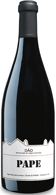 Pape Tinto 2020