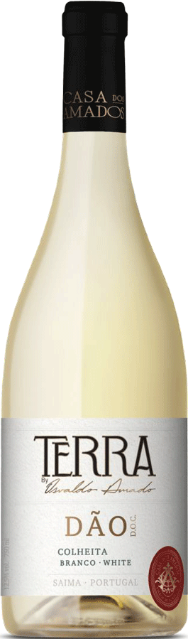 Terra Colheita Branco 2024