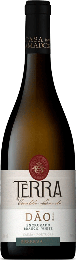 Terra Reserva Encruzado Branco 2024