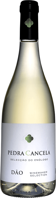 Pedra Cancela Auswahl des Önologen Weiß 2024