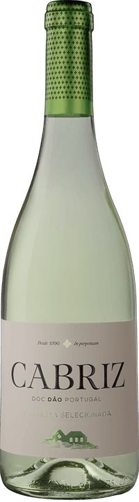 Cabriz Colheita Seleccionada Branco 2024