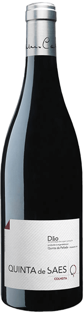 Quinta De Saes Colheita Rotwein 2020