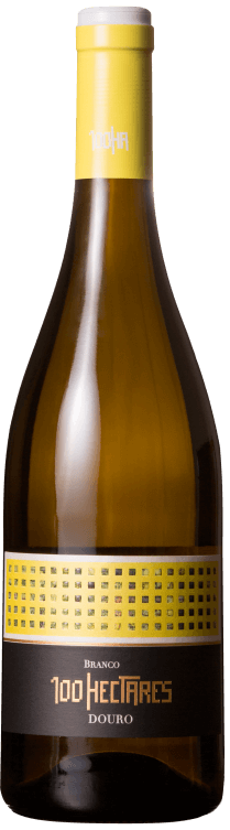100 Hectares Branco 2024