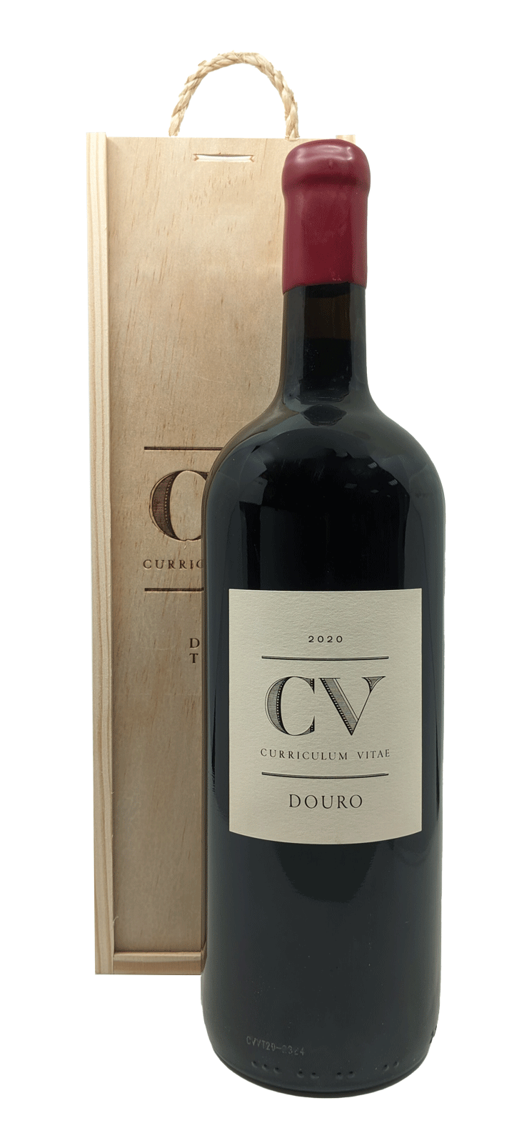 Cv-curriculum Vitae Tinto Magnum 2021