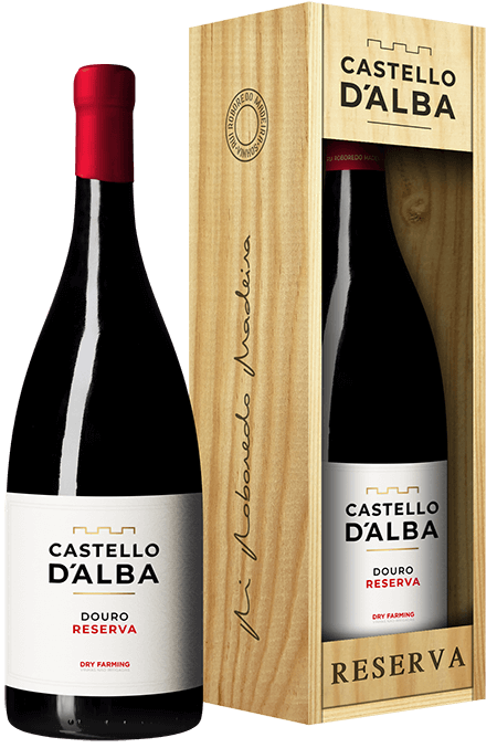 Castello D'alba Reserva Tinto 5l 2022