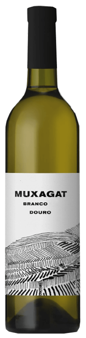 Muxagat Branco 2023