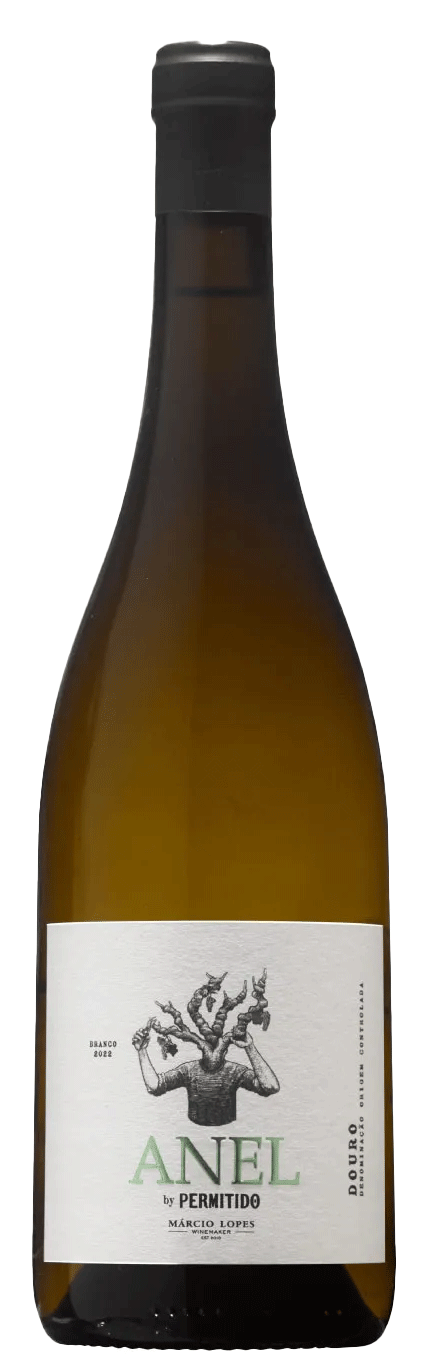 Anello Bianco 2022