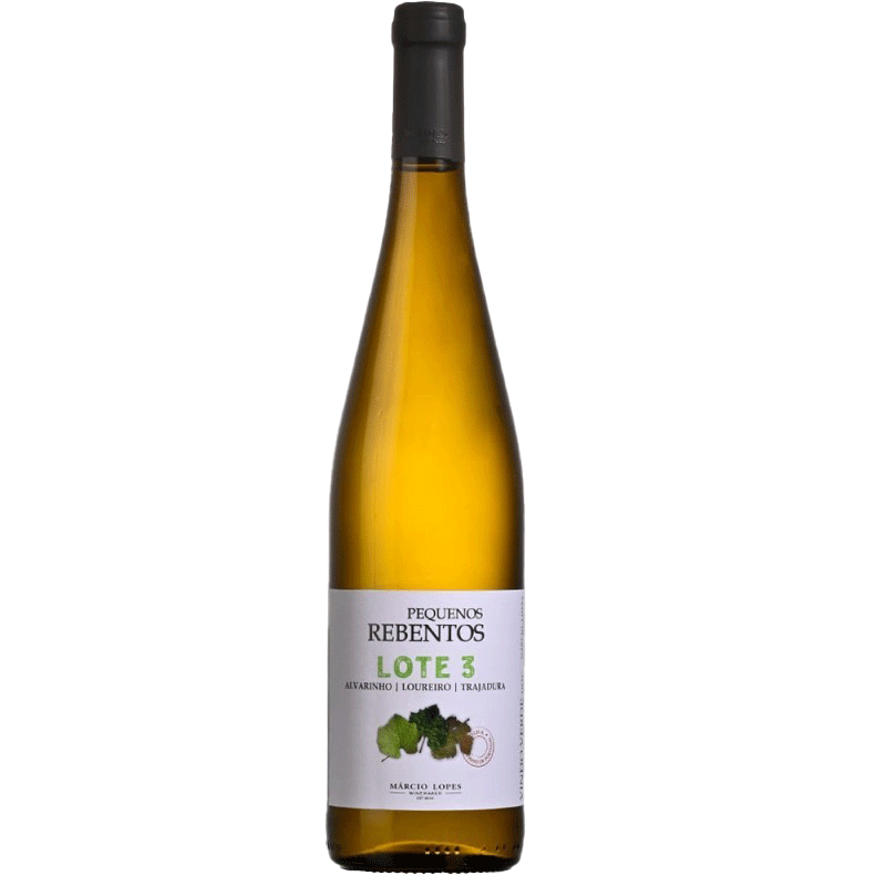 Kleine Triebe Los 3 2024