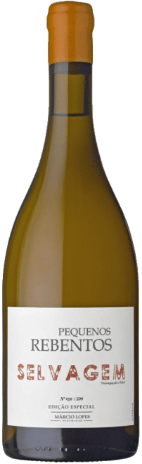 Kleine Wilde Triebe 2020