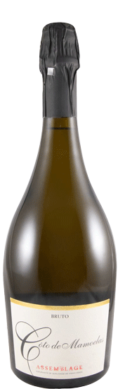 Espumante Coto Mamoelas Ensamblaje Súper Reserva 2019