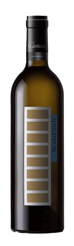 Scala Coeli Sauvignon Blanc Blanc 2022