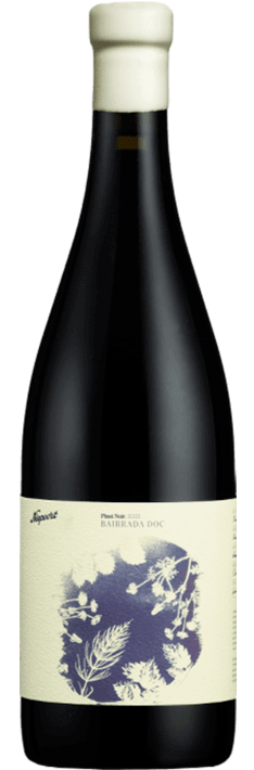 Bairrada Niepoort Pinot Noir Rouge 2021