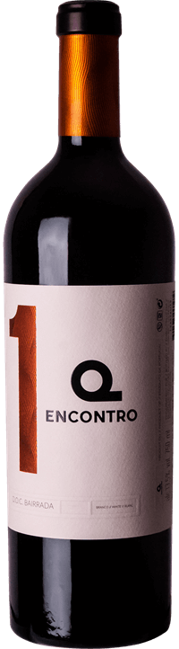 1º Encuentro Blanco 2015
