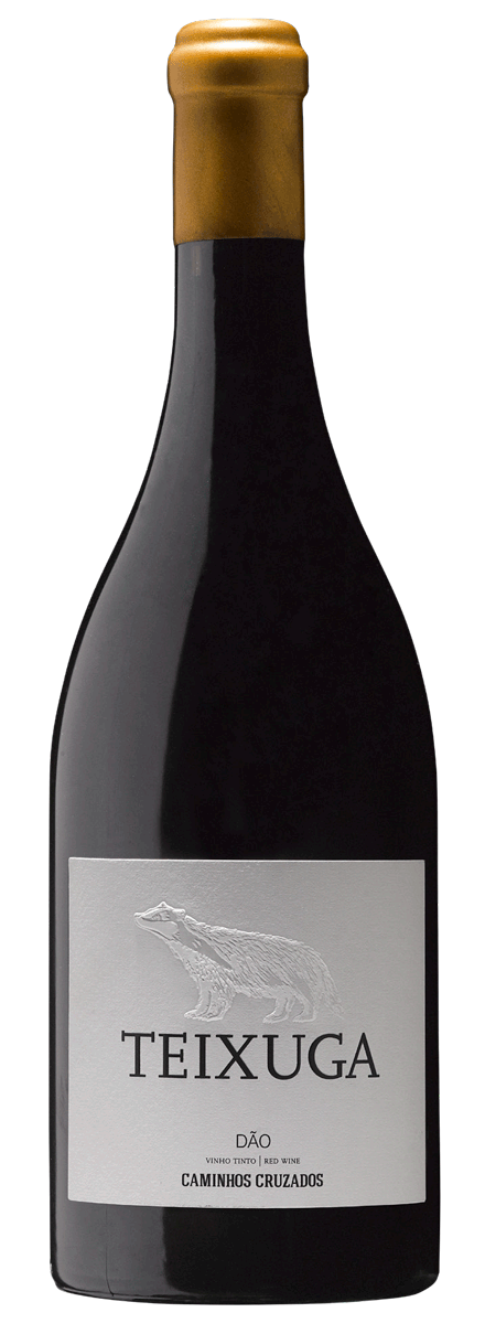 Teixuga Rosso 2018