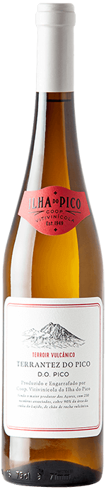 Pico Vins Terrantezdo Pico Branco 2019