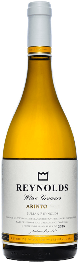 Julian Reynolds Arinto Branco 2024
