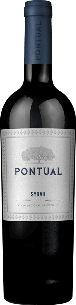 Pontual Syrah Rot 2021