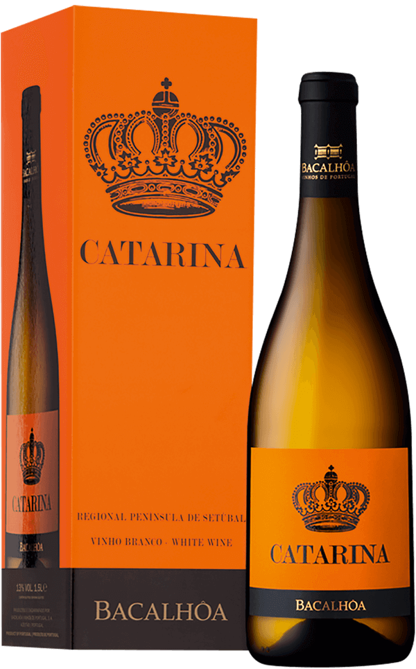 Catarina Branco Magnum 2024