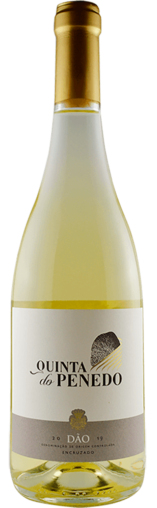 Quinta Do Penedo Encruzado Blanc 2023