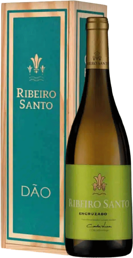 Ribeiro Santo Encruzado Blanc Magnum 2022