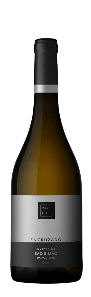 Borges Quinta Sao Simao Aguieira Encruzado Branco 2024