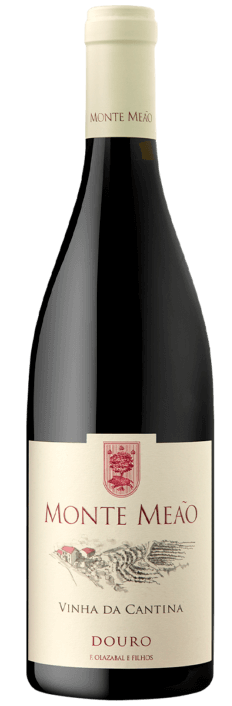 Monte Meão Vinha Da Cantina Baga Tinto 2022