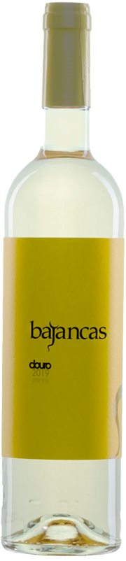 Bajancas Bianco 2023