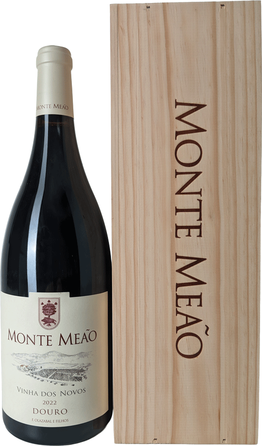 Monte Meão Vinha Dos Novos Rotwein Magnum 2022