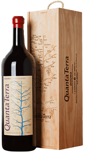 Quanta Terra Große Reserva Rotwein Magnum 2021