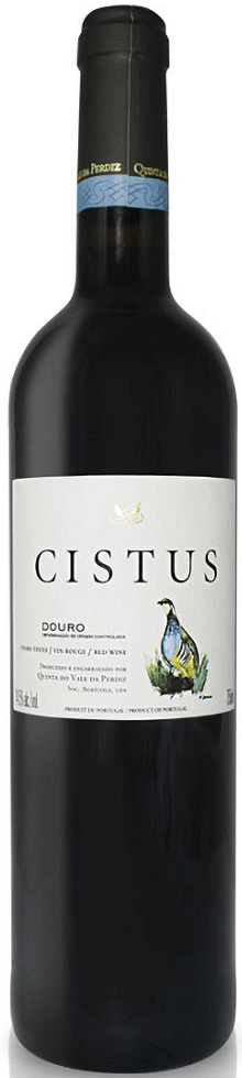 Cisto Tinto 2023