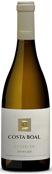 Costa Boal Superior Branco 2022