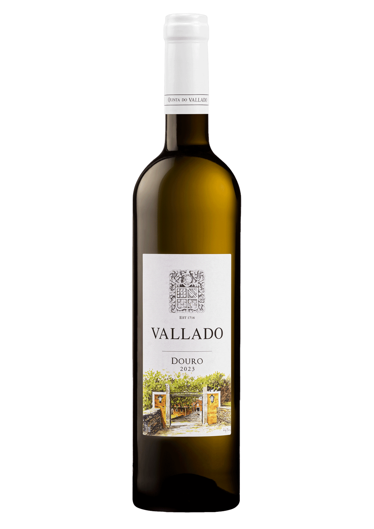 Vallado White 2024