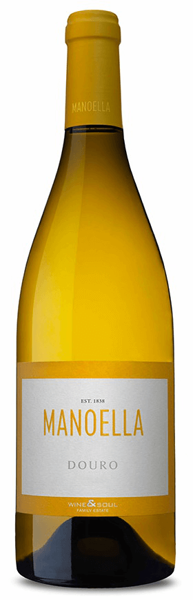 Manoella Branco 2024