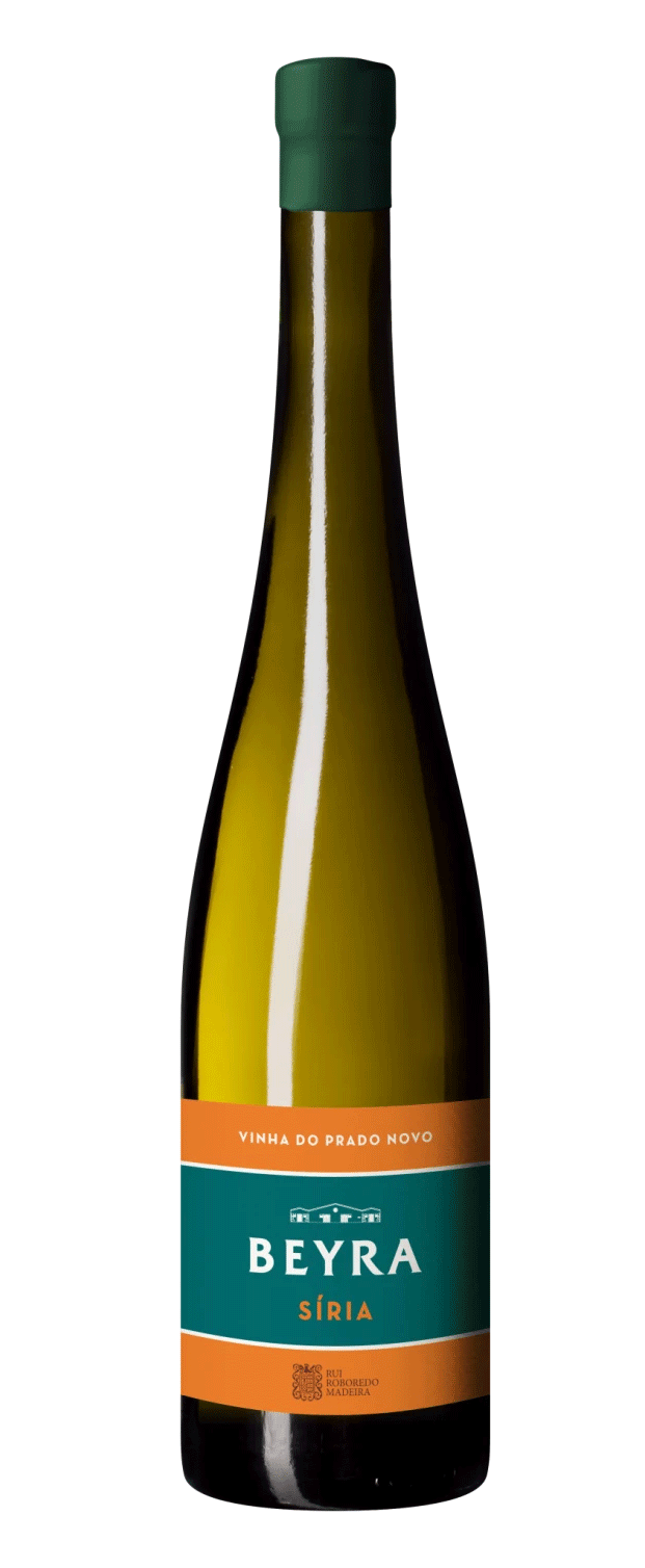 Beyra Siria Bianco 2023