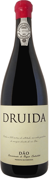 Druida Red 2021