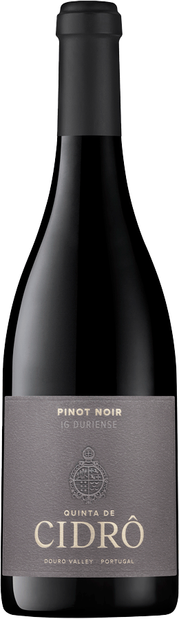 Quinta De Cidro Pinot Noir Rotwein 2023